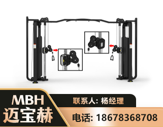 防城港大飞鸟训练器