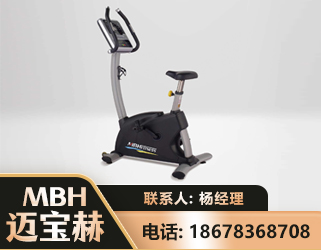 防城港立式健身车